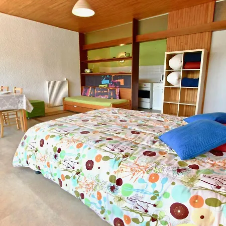 Chamrousse, 3 Pieces, 8 Personnes - Fr-1-340-46 Apartment *
