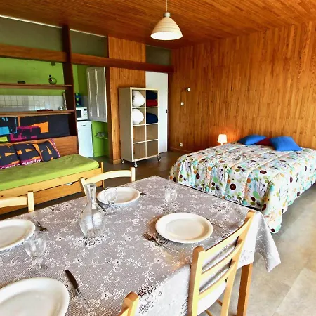 Apartment Chamrousse, 3 Pieces, 8 Personnes - Fr-1-340-46 *