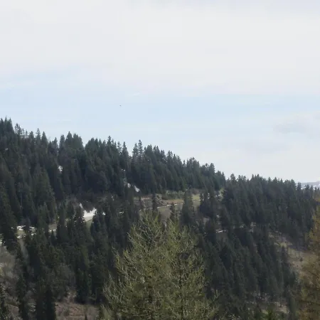 Chamrousse, 3 Pieces, 8 Personnes - Fr-1-340-46 * Chamrousse